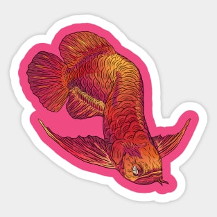 Golden Red Arwana Sticker